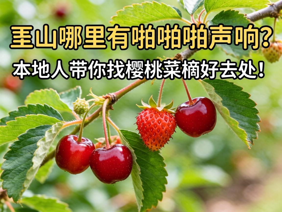 房山哪里有啪啪啪声音？本地人带你找樱桃采摘好去向！