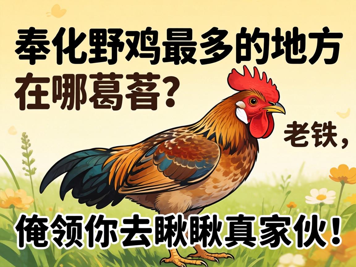 奉化野鸡最多的处地点哪旮沓？老铁，俺领你去瞅瞅真家伙！