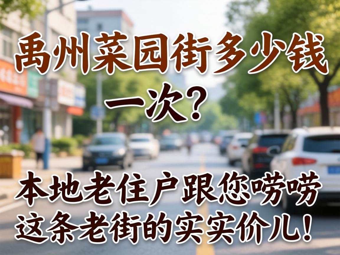 禹州菜园街几多钱一次？？外地老住户跟您唠唠这条老街的着实价儿！