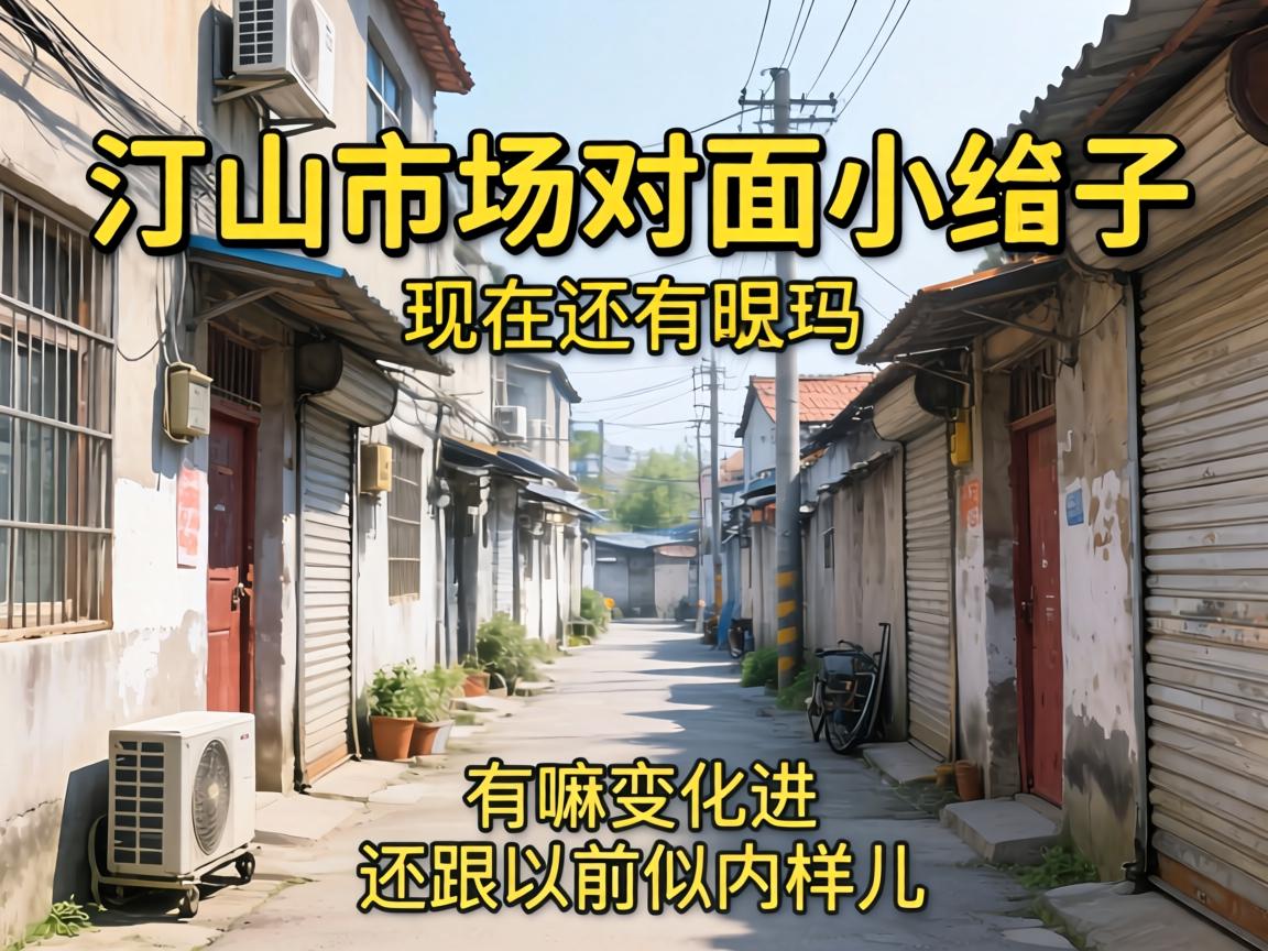 汀山市场扑面小巷子现在尚有吗？？？有嘛转变，，还跟以前似内样儿吗？？？