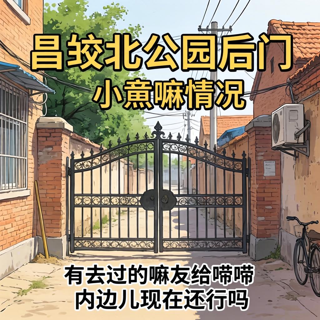 昌吉北公园后门小巷嘛情况？有去过的嘛友给唠唠，内边儿现在还行吗？