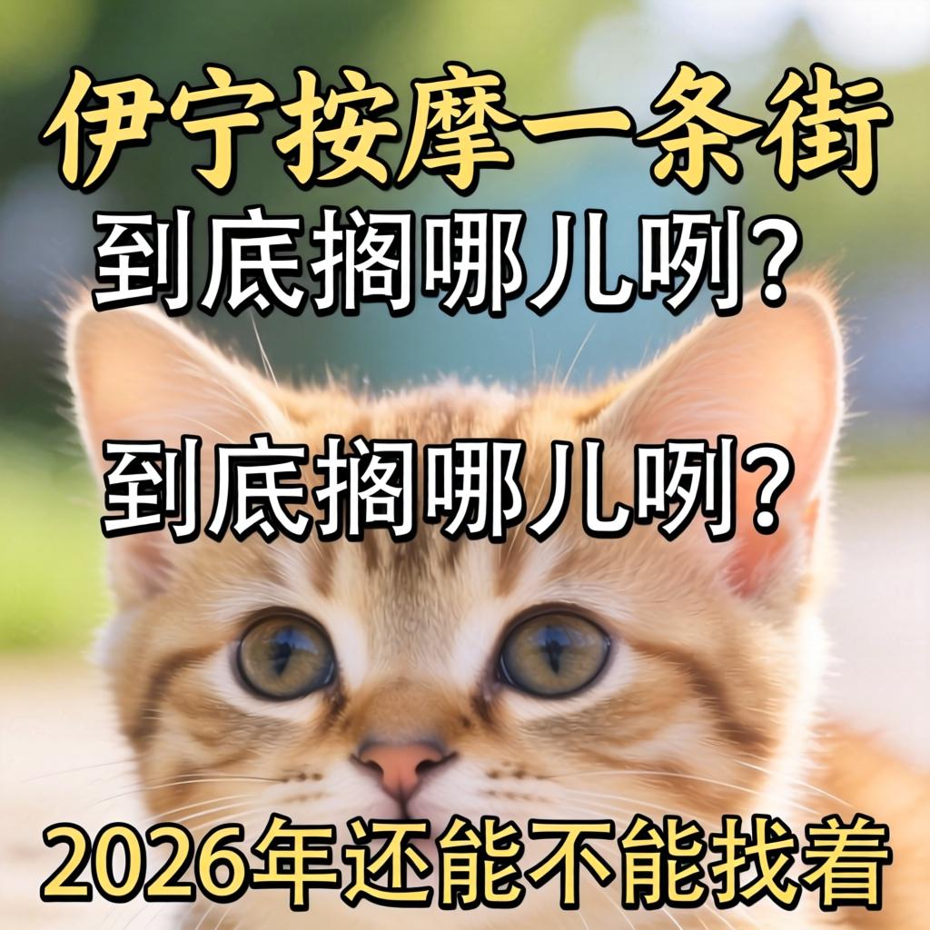 伊宁按摩一条街地址到底搁哪儿咧？2026年还能不能找着？