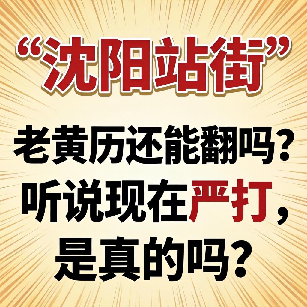 沈阳站街”这老黄历还能翻吗？听说现在严打，是真的吗？