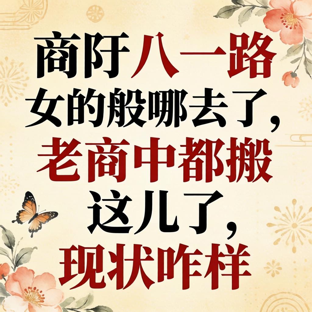 商丘八一路女的般哪去了,老商户都搬这儿了,现状咋样