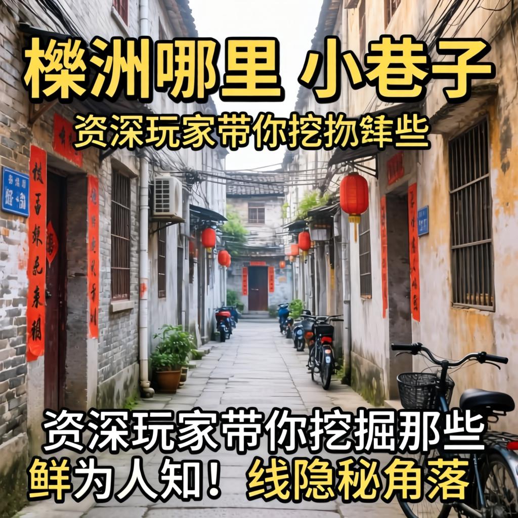 株洲哪里有小巷子？资深玩家带你挖掘那些鲜为人知的隐秘角落