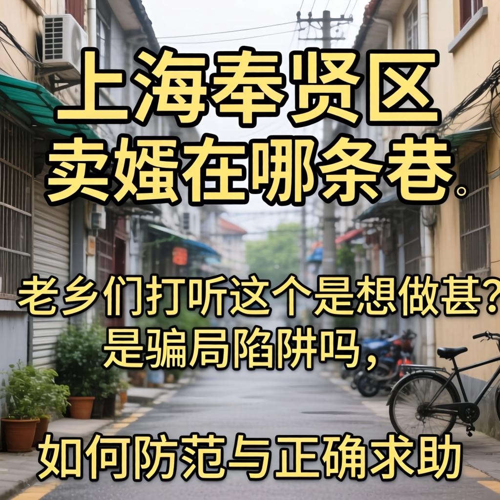 上海奉贤区卖婬在哪条巷，老乡们打听这个是想做甚？是骗局陷阱吗，如何防范与正确求助？