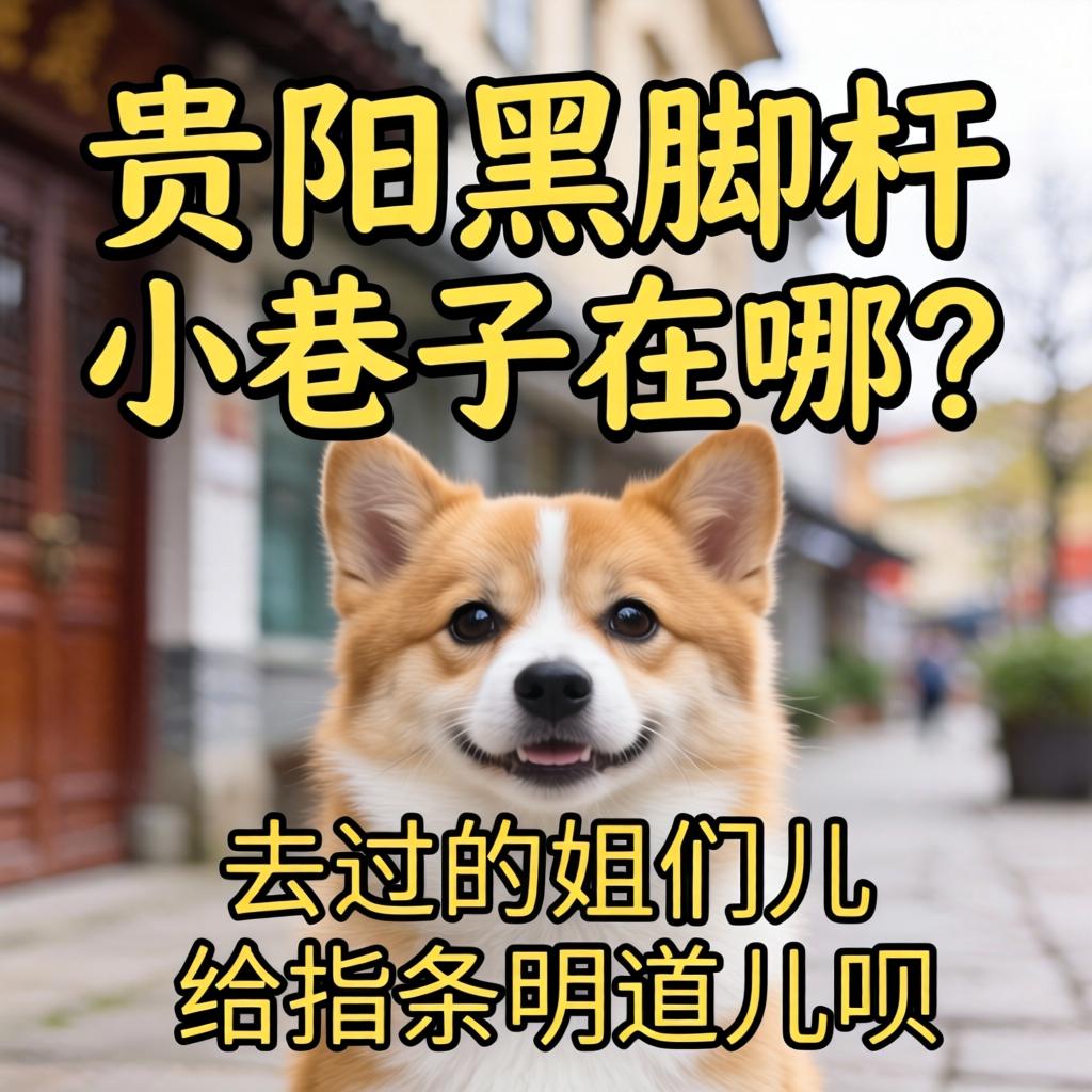 贵阳黑脚杆小巷子在哪？？？？？有去过的姐们儿给指条明道儿呗！