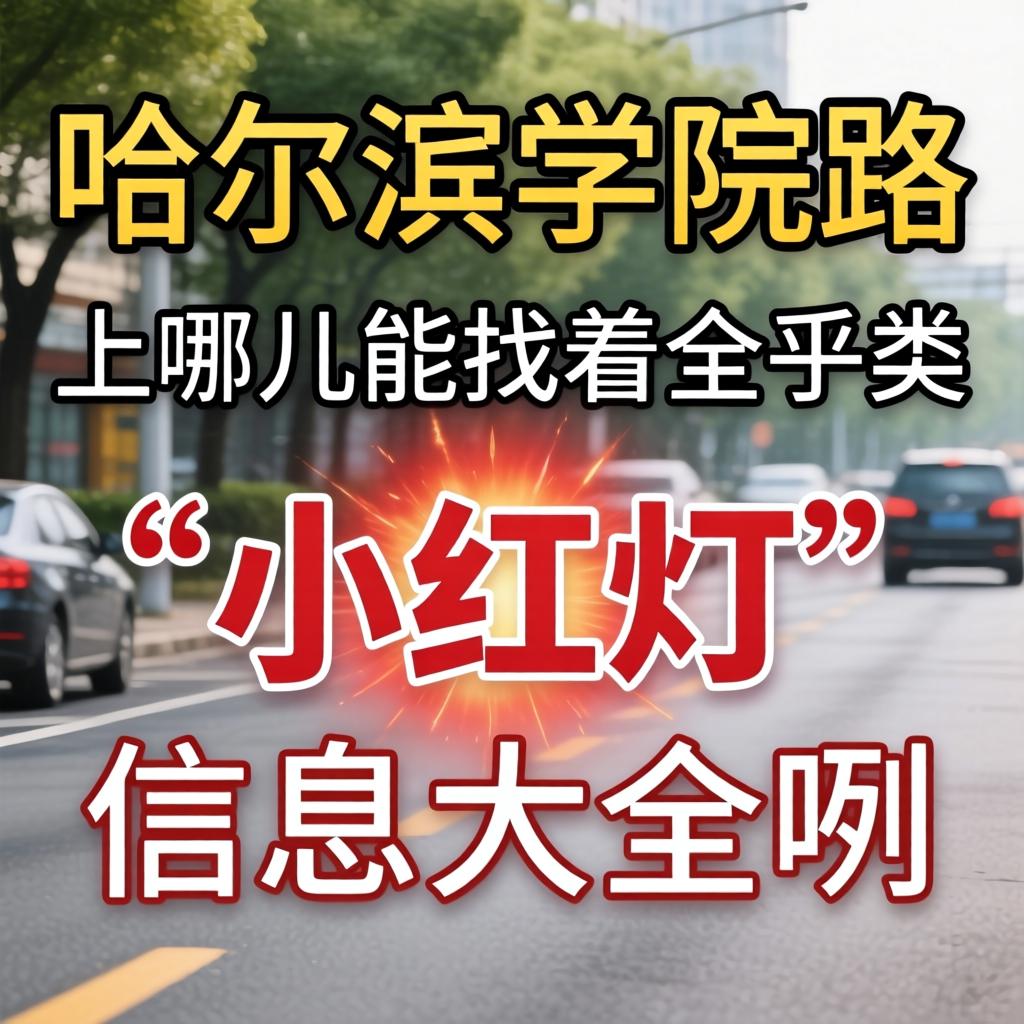 在哈尔滨学院路，上哪儿能找着全乎类“幼红灯”信息大全咧？