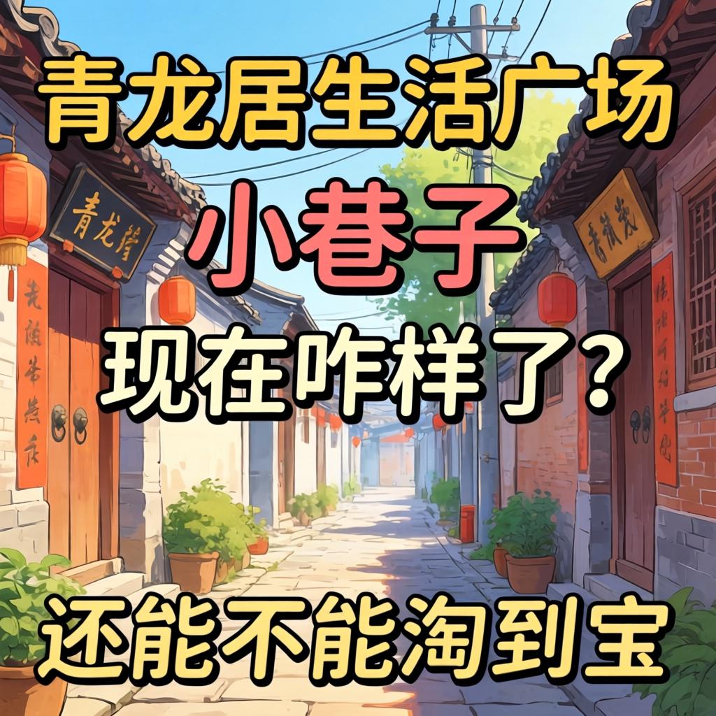 西青龙居生活广场小巷子现在咋样了？还能不能淘到宝？