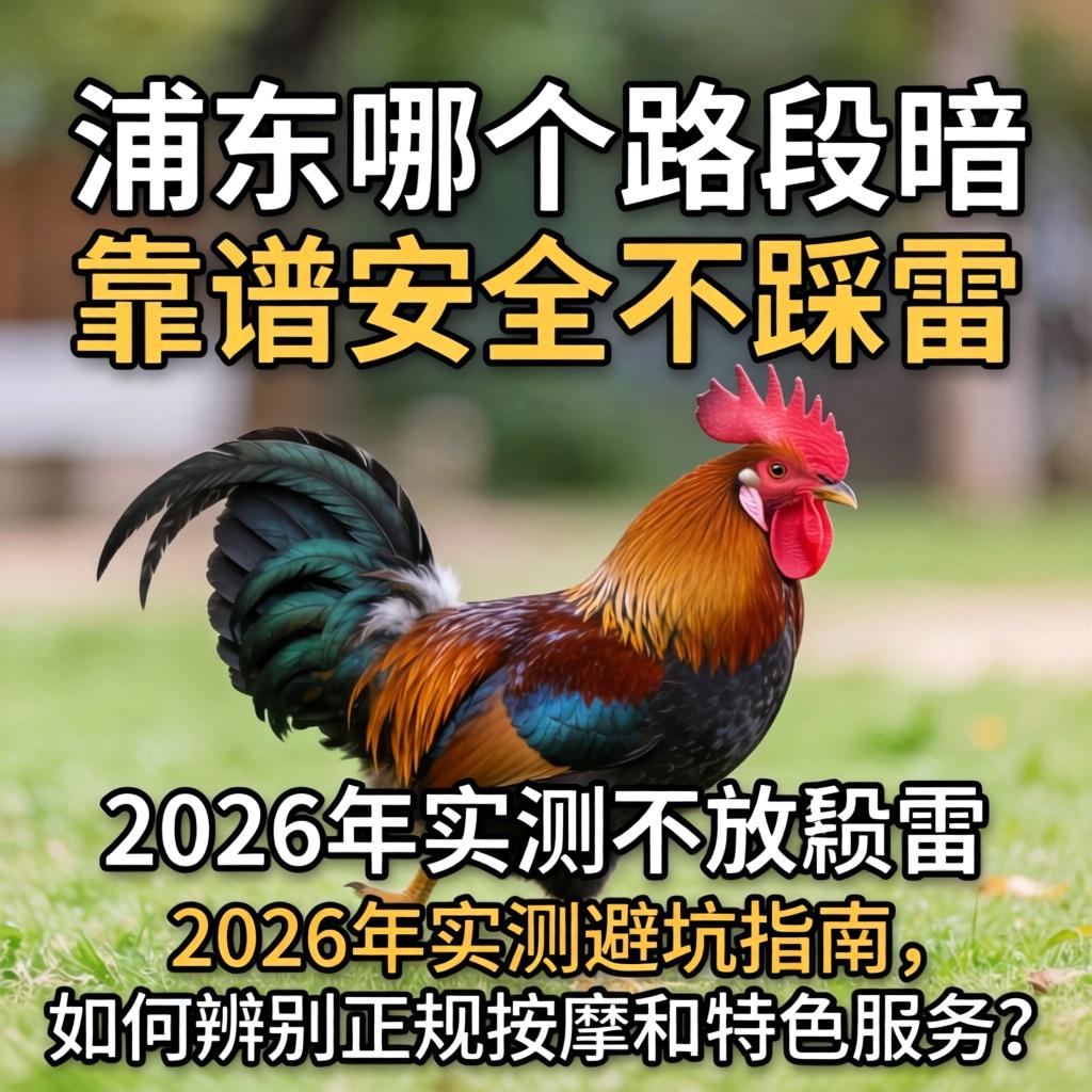 浦东哪个路段有暗鸡,靠谱安全不踩雷?2026年实测避坑指南,如何辨别正规按摩和特色服务?