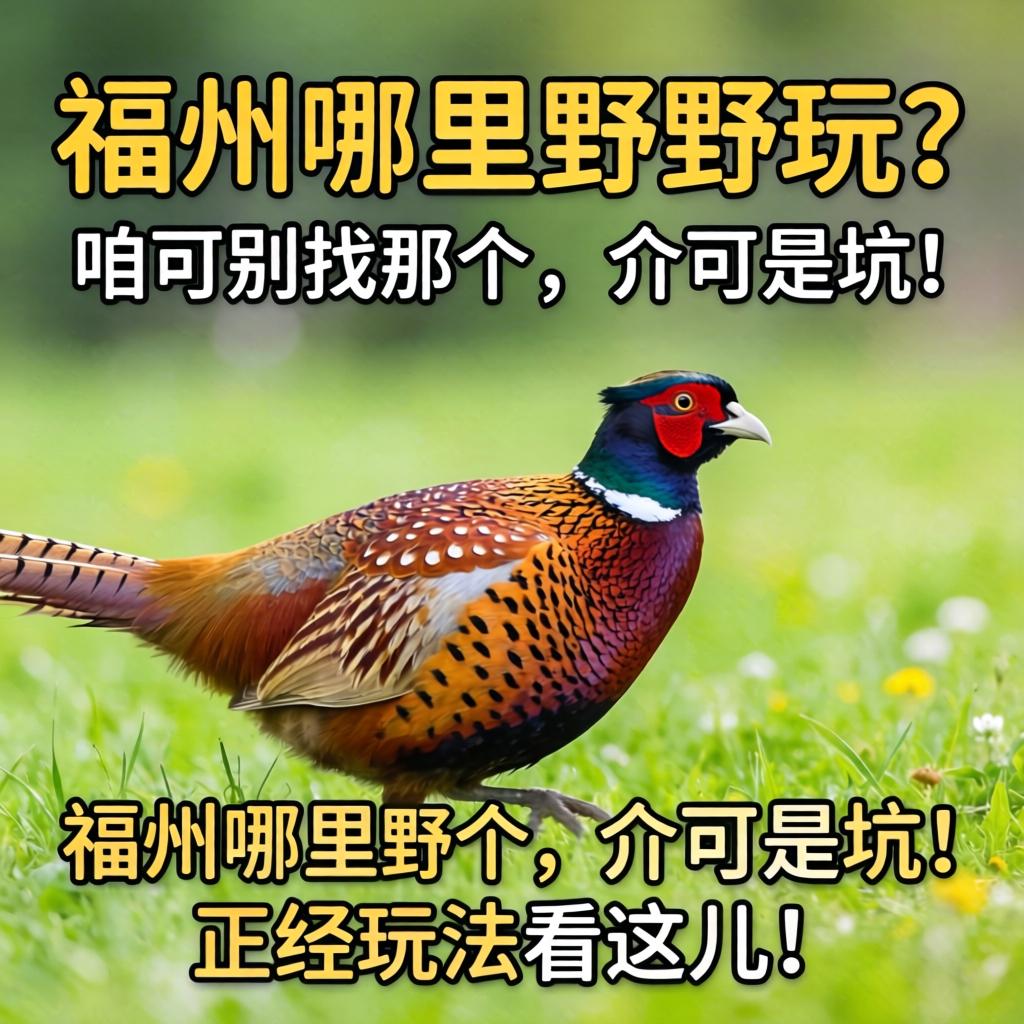 福州那里有野鸡可以玩？？咱可别找谁人，，，，，介可是坑！正经玩法看这儿！
