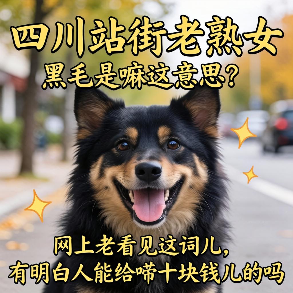 四川站街老熟女黑毛是嘛意思？网上老看见这词儿，有明白人能给唠十块钱儿的吗？