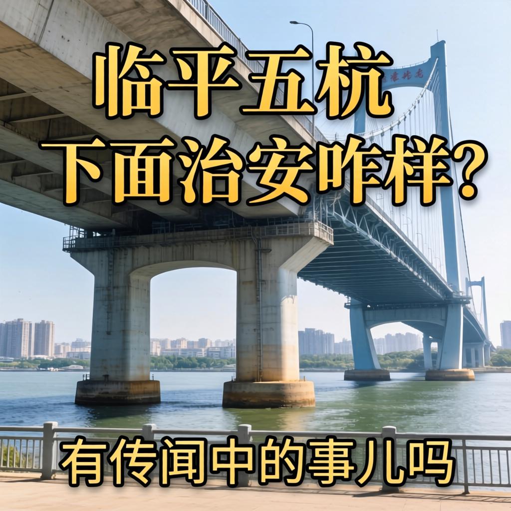 临平五杭大桥下面治安咋样？有传闻中的事儿吗？