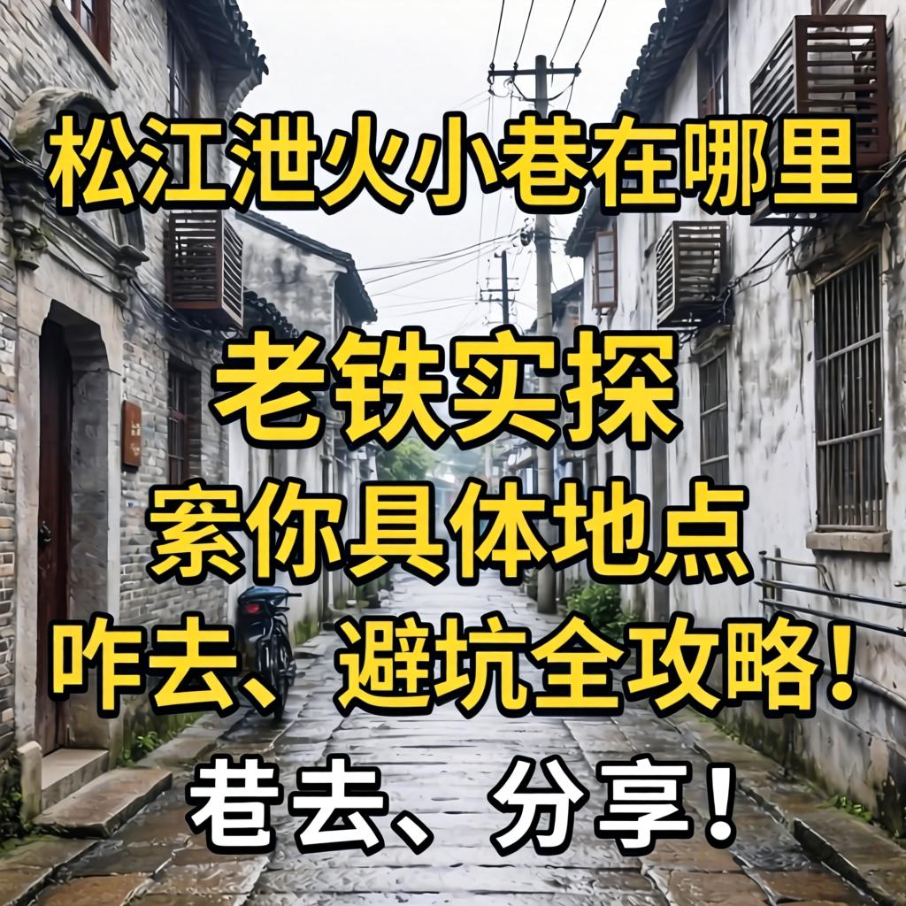 松江泄火小巷在哪里？老铁实探具体位置、咋去、避坑全攻略分享！